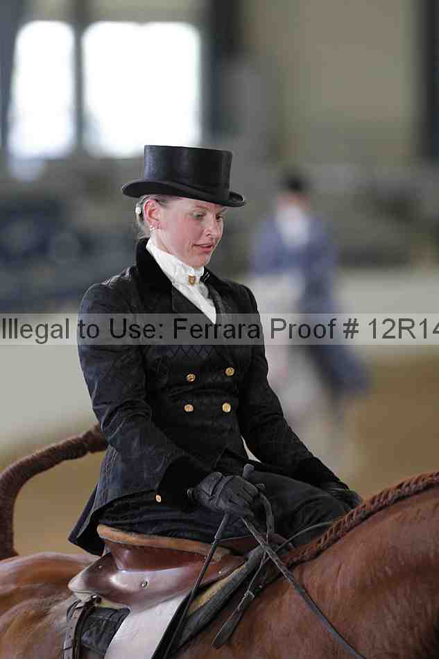 Proof 12r14_0368