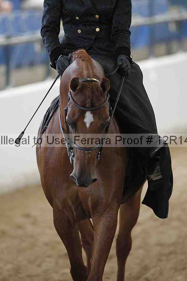 Proof 12r14_0372