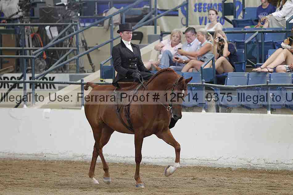 Proof 12r14_0375