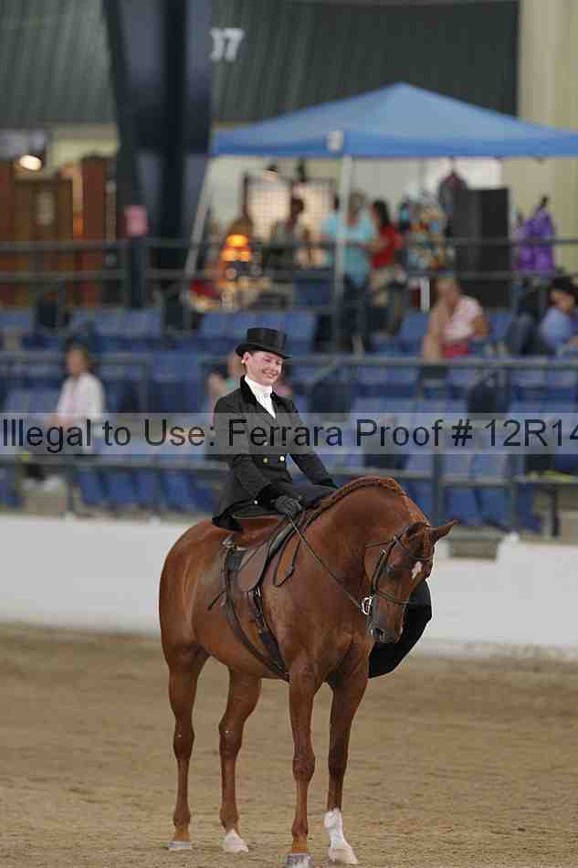 Proof 12r14_0376