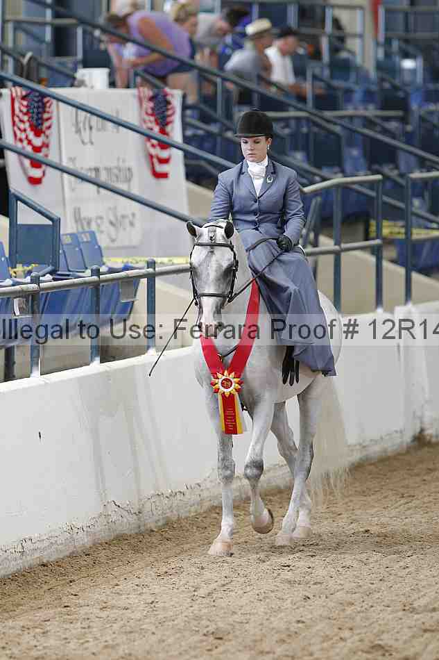 Proof 12r14_0381