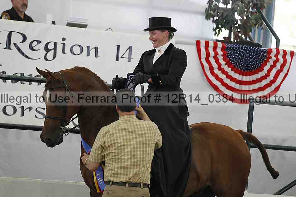 Proof 12r14_0384