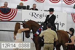 12r14_0388 proof
