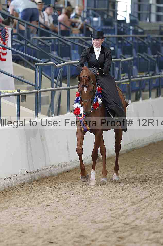Proof 12r14_0396