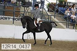12r14_0437 proof
