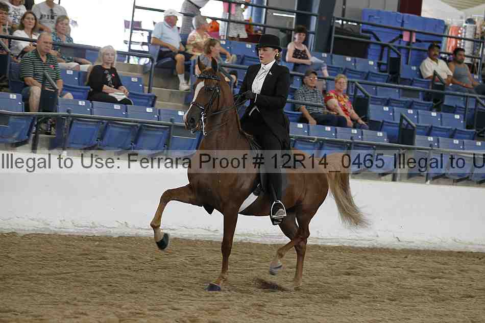 Proof 12r14_0465