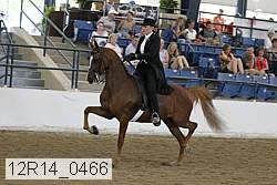 12r14_0466 proof