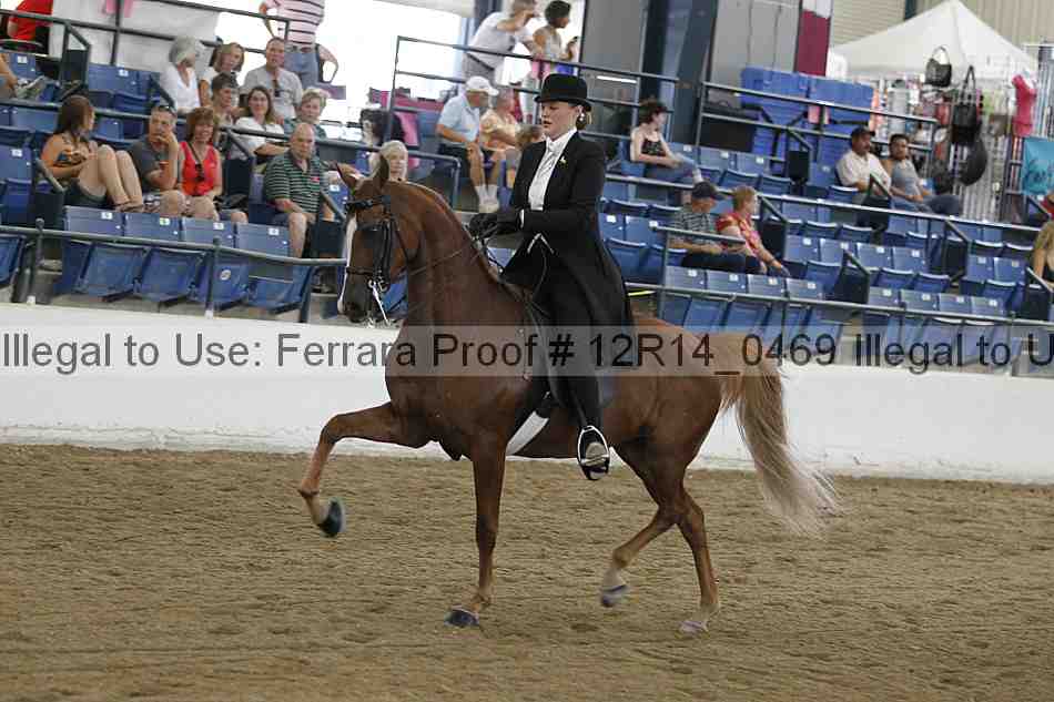 Proof 12r14_0469