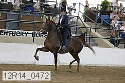 12r14_0472 proof