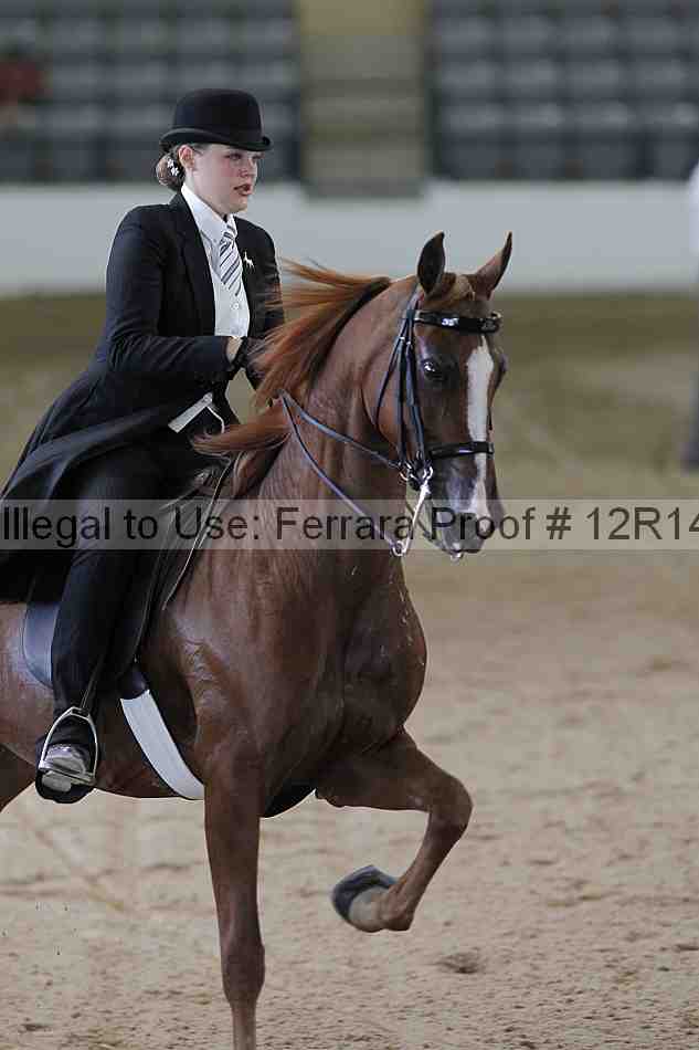 Proof 12r14_0475