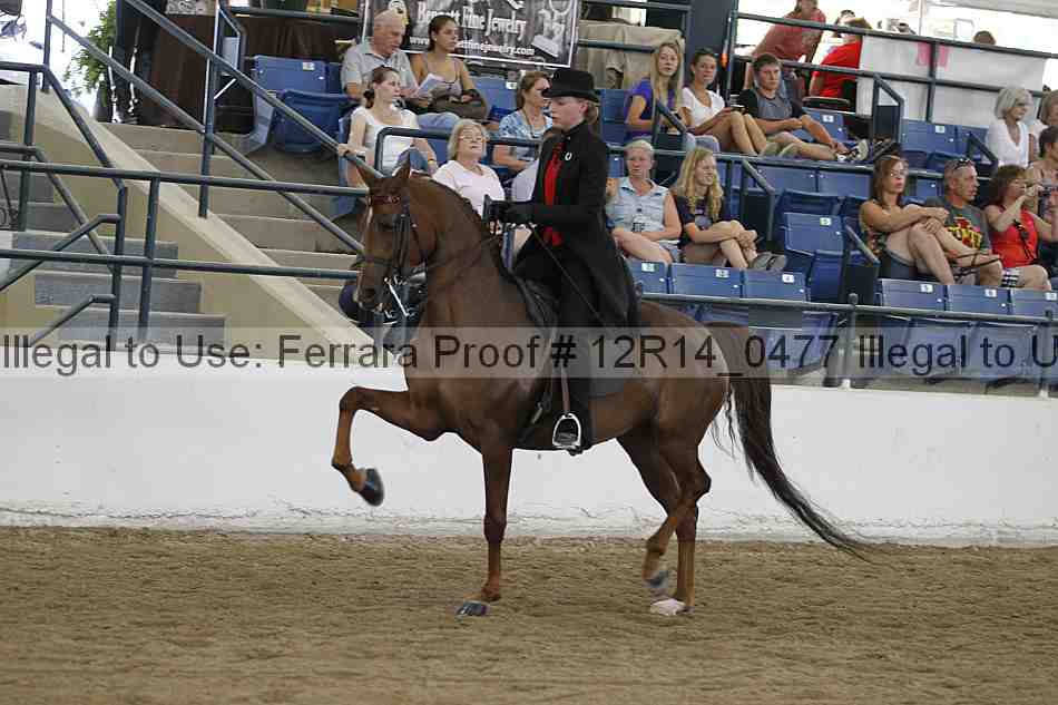 Proof 12r14_0477