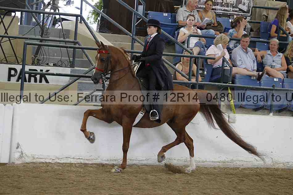 Proof 12r14_0480