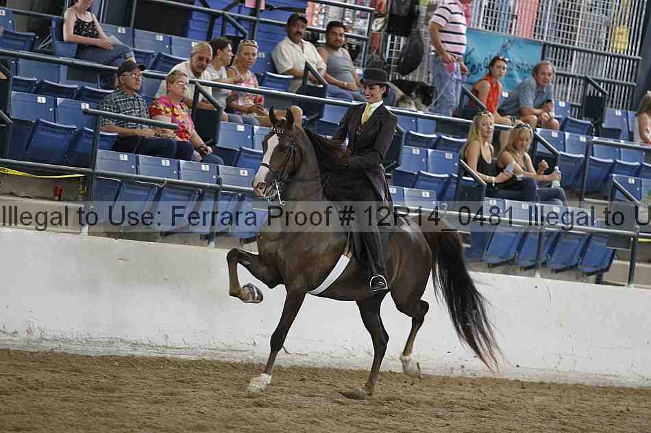 Proof 12r14_0481