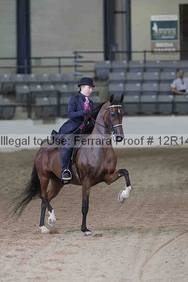 Proof 12r14_0482