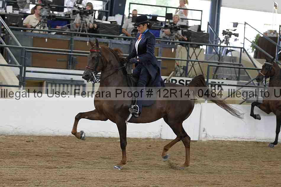 Proof 12r14_0484