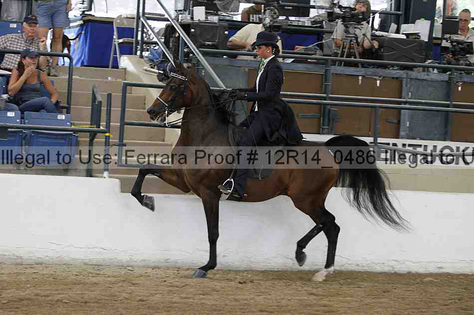 Proof 12r14_0486