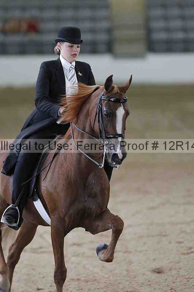 Proof 12r14_0487