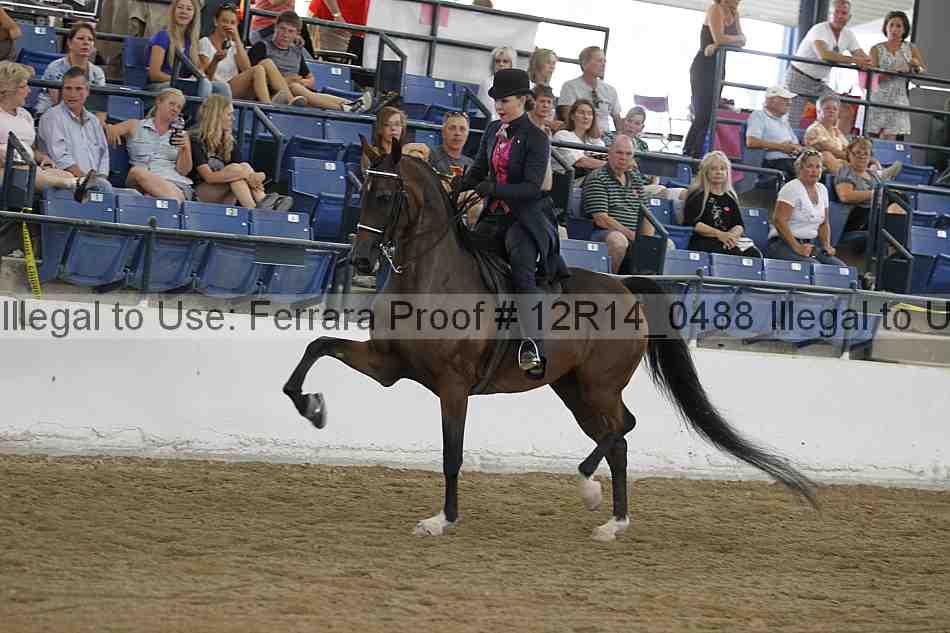 Proof 12r14_0488