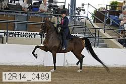 12r14_0489 proof