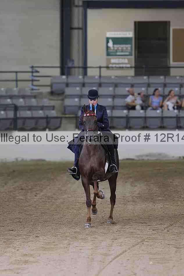 Proof 12r14_0490