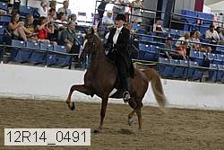 12r14_0491 proof