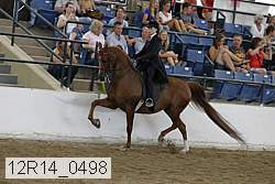 12r14_0498 proof
