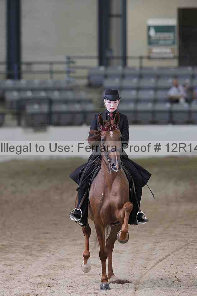 Proof 12r14_0499