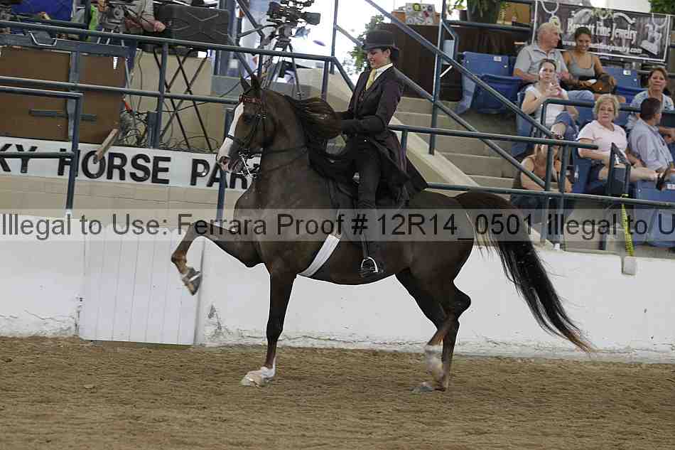 Proof 12r14_0501