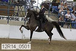 12r14_0501 proof