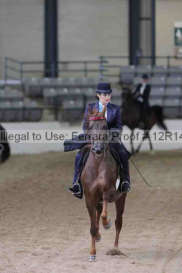 Proof 12r14_0505