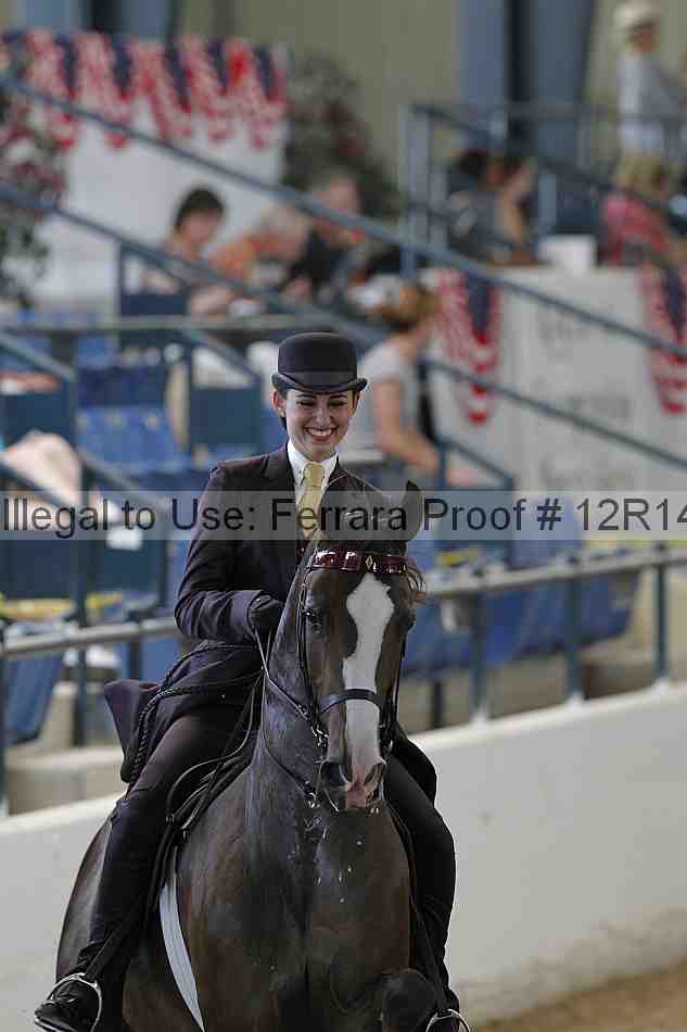 Proof 12r14_0508