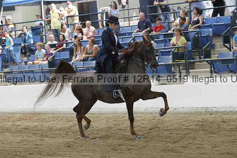 Proof 12r14_0519