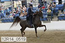12r14_0519 proof