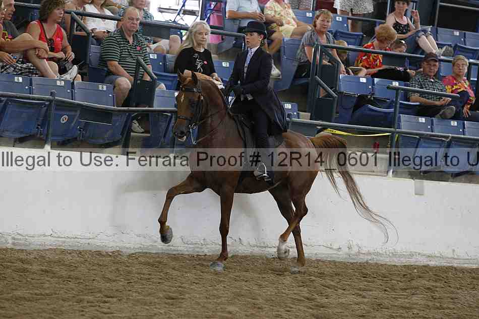 Proof 12r14_0601