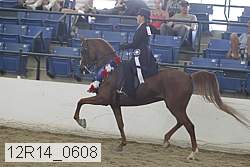 12r14_0608 proof