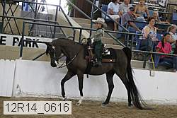 12r14_0616 proof