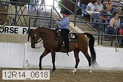 12r14_0618 proof