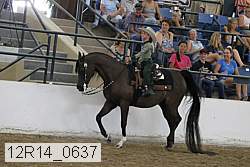 12r14_0637 proof