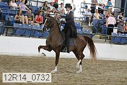 12r14_0732 proof
