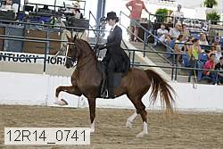 12r14_0741 proof
