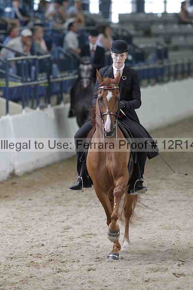 Proof 12r14_0742