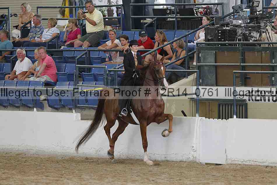 Proof 12r14_0761