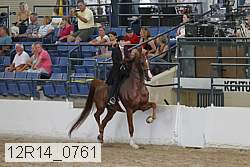 12r14_0761 proof