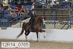 12r14_0765 proof