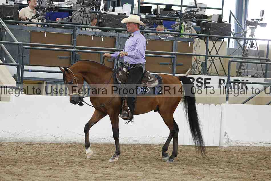 Proof 12r14_0813