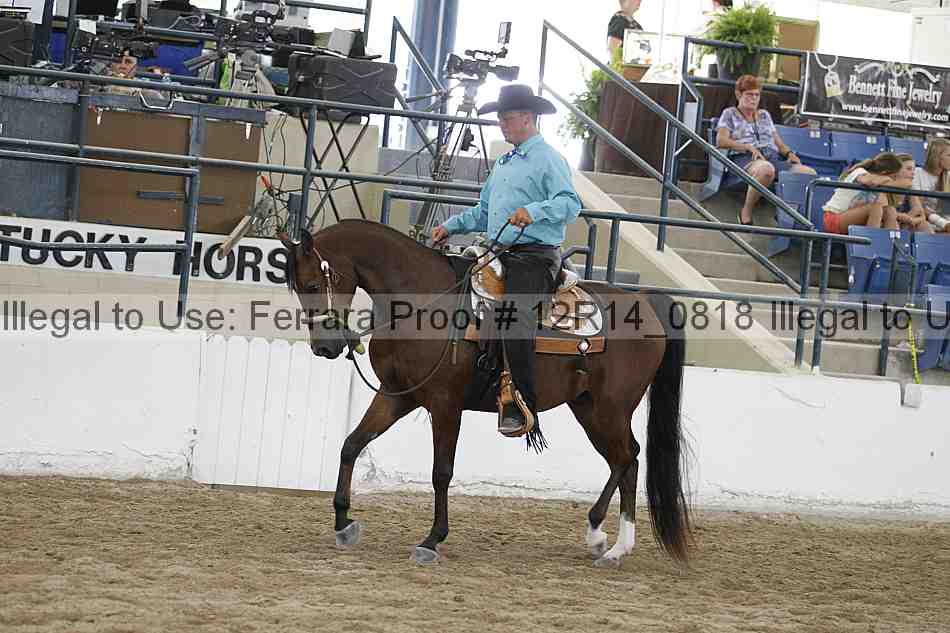 Proof 12r14_0818