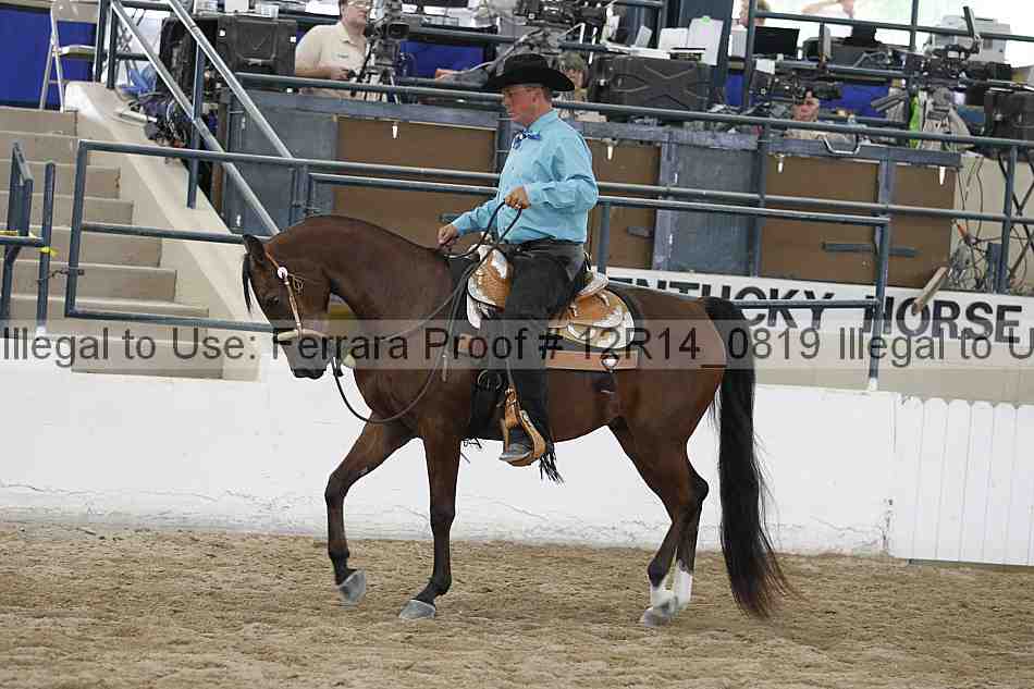 Proof 12r14_0819