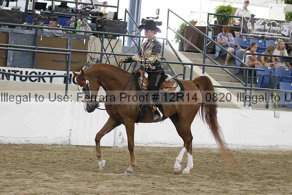 Proof 12r14_0820