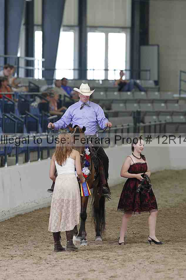 Proof 12r14_0833