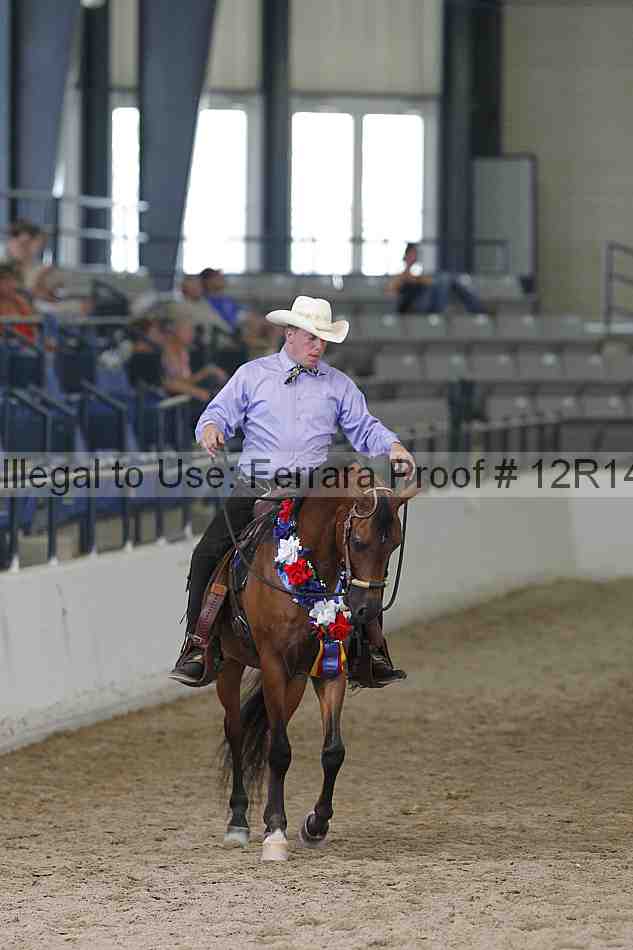 Proof 12r14_0834